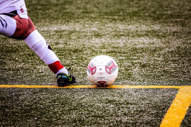 彰显了他们 彰显了他们