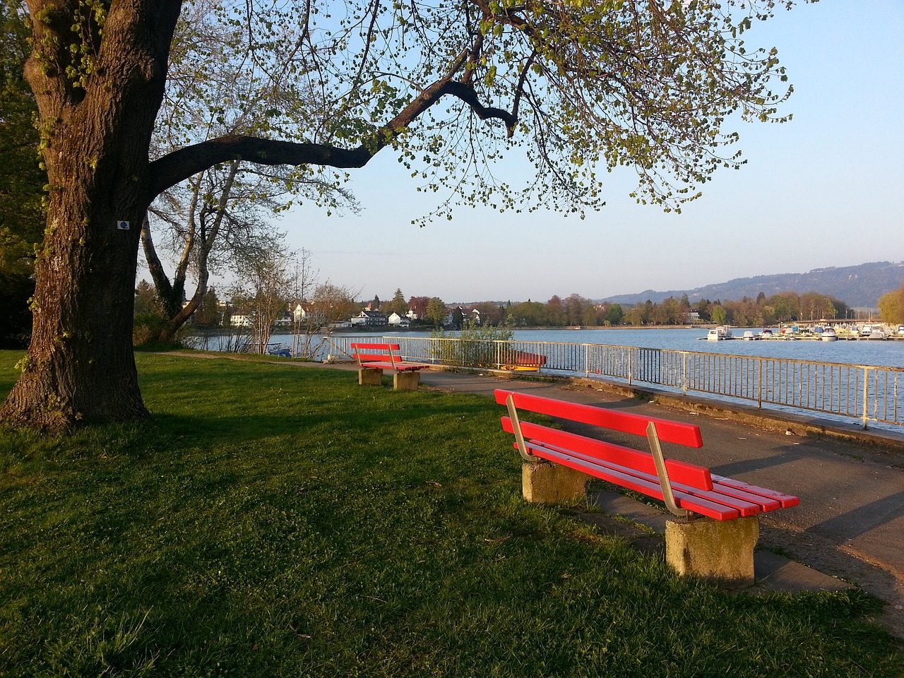 级赛事的教 级赛事的教