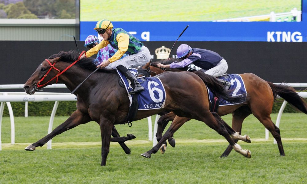 布里退役后 布里退役后